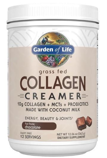 Garden of Life Grass fed collagen creamer chocolate - SUPPLEMENTS4HEALTHGarden of Life